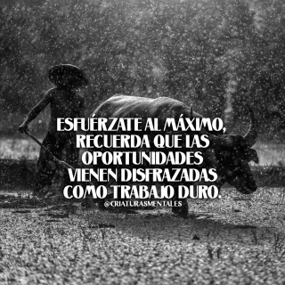 Del esfuerzo al&nbsp;éxito