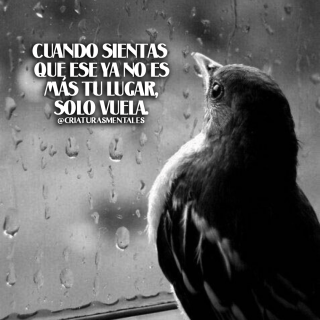 Busca nuevos horizontes